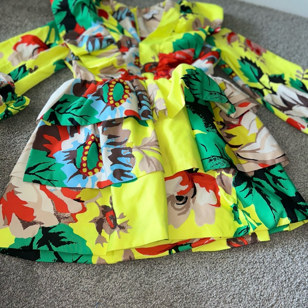 Christopher John Rogers x Target Collaboration Floral Long Sleeve Ruffle Dress